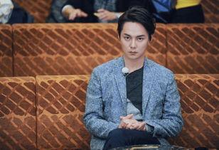 娱乐吃瓜尹正小说,娱乐圈的瓜田秘闻录